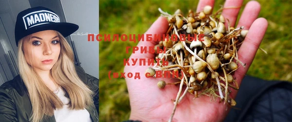 хмурый Абинск