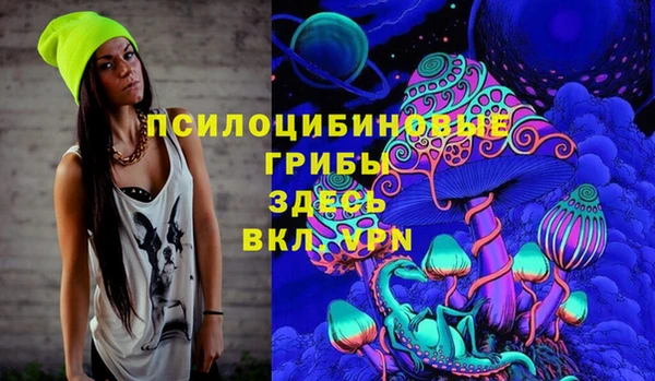 хмурый Абинск