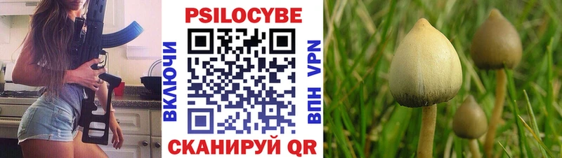 mega вход  Венёв  Псилоцибиновые грибы Magic Shrooms 